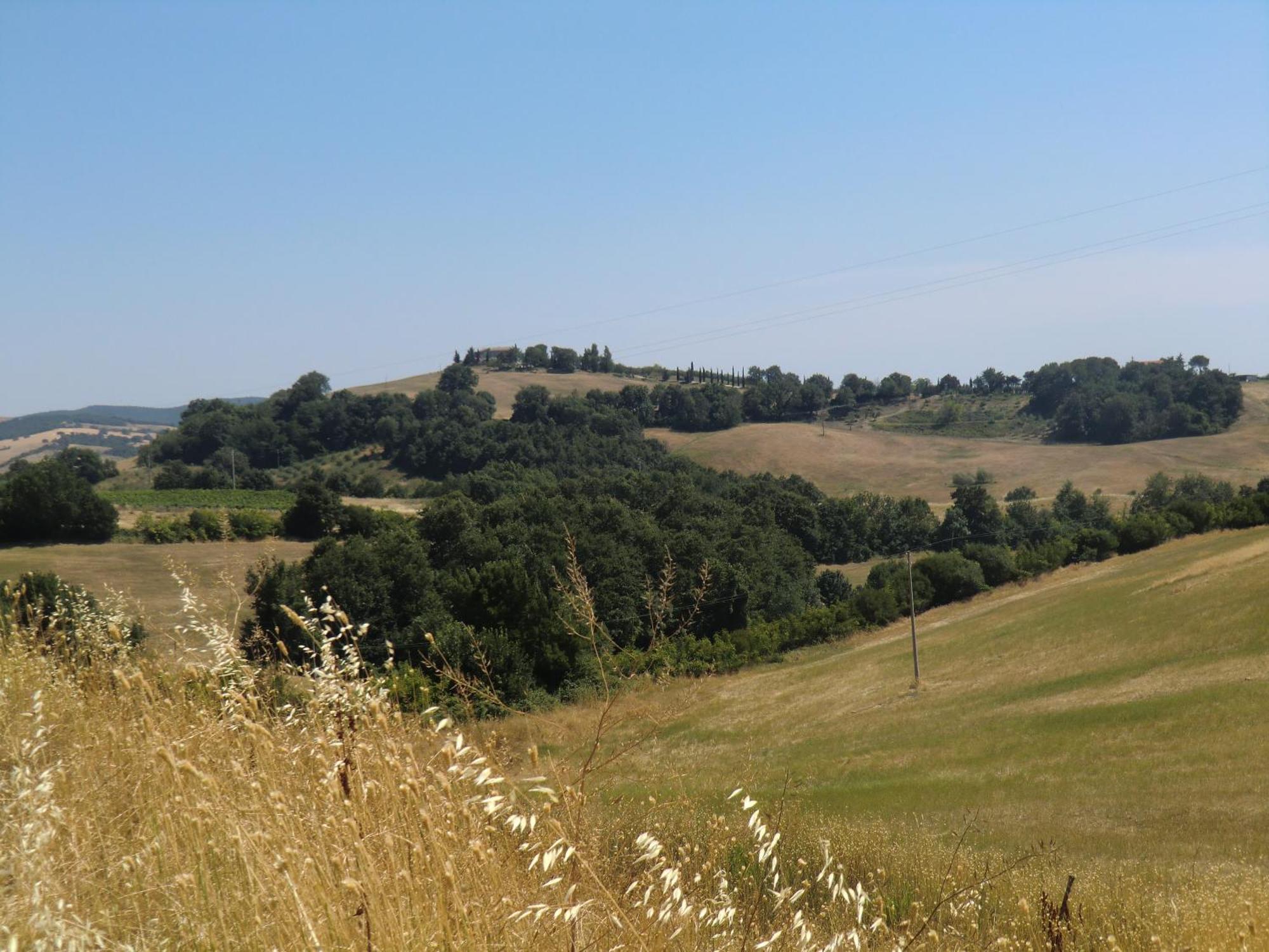 Agriturismo Cavallin Del Bufalo Манчіано Екстер'єр фото